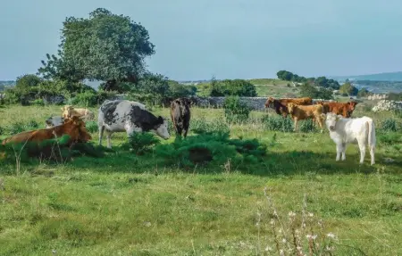 Oriental Muti, Maison 19 personnes à Chiaramonte Gulfi - Photo 45