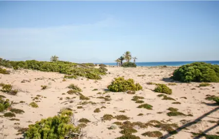 Location Appartement 4 personnes à Los Arenales del Sol - Photo 19