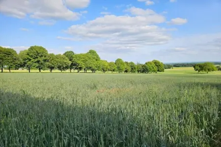 Maison de vacances Sossay, Maison de vacances vintage avec jardin à Sossais - Photo 24