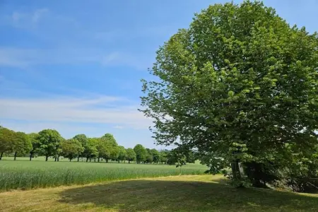 Maison de vacances Sossay, Maison de vacances vintage avec jardin à Sossais - Photo 26