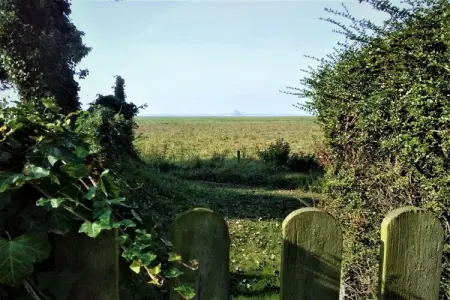 Gite des Salines, Maison 5 personnes à Vains - Photo 37