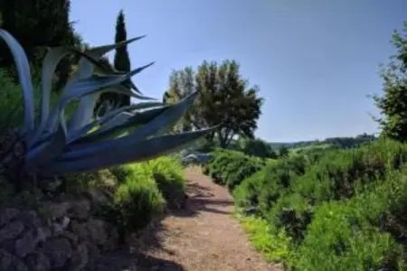 Poggio Casale, Maison 9 personnes à Chiusi - Photo 27