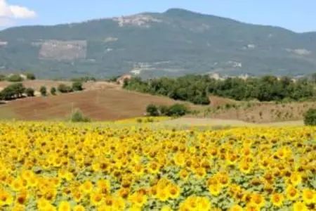 Poggio Casale, Maison 9 personnes à Chiusi - Photo 32