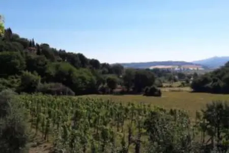 Poggio Casale, Maison 9 personnes à Chiusi - Photo 33