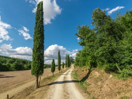 Casale Poggio Lupinaio, Gite 10 personnes à Manciano - Photo 35