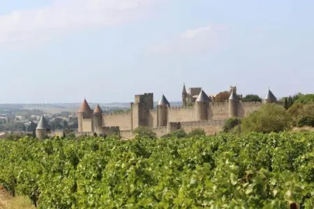 Villa Vignes et Bambous, Villa moderne avec piscine privée près du lac à Olonzac - Photo 27