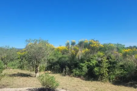 Villa Vignes et Bambous, Villa moderne avec piscine privée près du lac à Olonzac - Photo 28