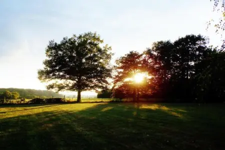 Maison de vacances Diges, Superbe maison de vacances avec piscine à Diges, Bourgogne - Photo 22