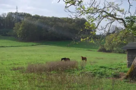 Maison de vacances Diges, Superbe maison de vacances avec piscine à Diges, Bourgogne - Photo 25