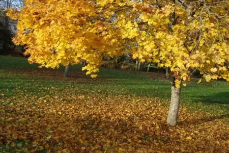Maison de vacances Diges, Superbe maison de vacances avec piscine à Diges, Bourgogne - Photo 27