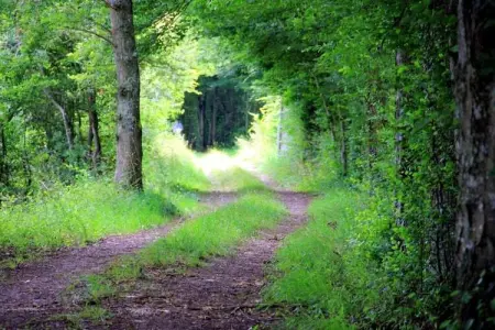 Maison de vacances Diges, Superbe maison de vacances avec piscine à Diges, Bourgogne - Photo 28