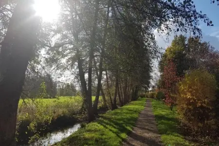 Maison de vacances Diges, Superbe maison de vacances avec piscine à Diges, Bourgogne - Photo 29
