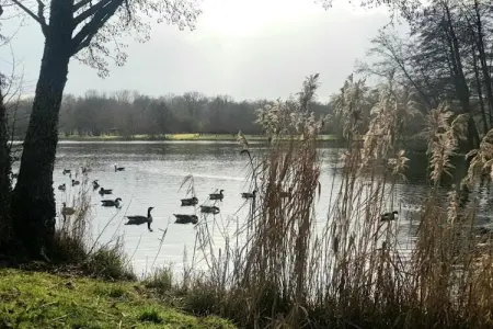 Maison de vacances Diges, Superbe maison de vacances avec piscine à Diges, Bourgogne - Photo 36