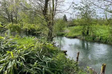 Maison de vacances Diges, Superbe maison de vacances avec piscine à Diges, Bourgogne - Photo 38