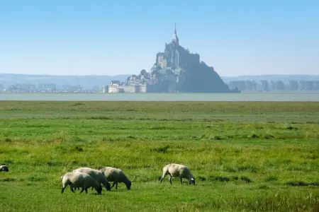 Terraced house Cherrueix, Maison 4 personnes à Cherrueix - Photo 19