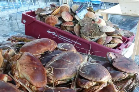 Maison de vacances 2 chambres Plurien, Maison 5 personnes à Plurien - Photo 19