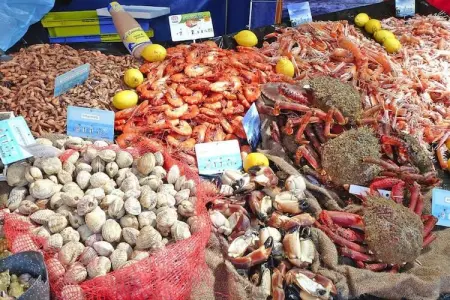 holiday home Pordic, Maison 6 personnes à Pordic - Photo 24