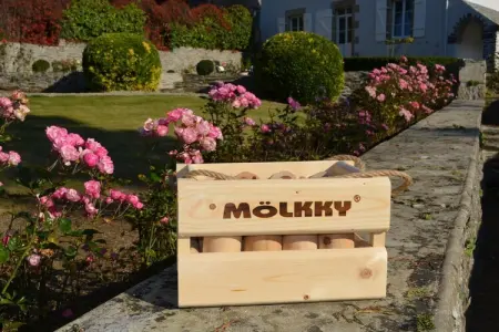 Villa Locquirec, Villa 10 personnes à Locquirec - Photo 21