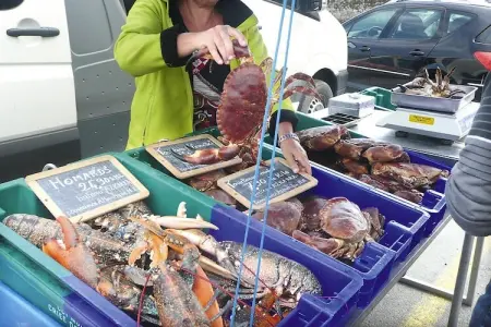 Ebenerdiges Ferienhaus in Strandnähe Santec, Maison 6 personnes à Santec - Photo 22