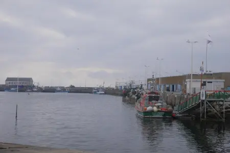 Ferienhaus Penmarch-St Guénolé, Maison 5 personnes à Penmarch - Photo 22