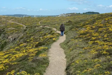 Ferienvilla Crozon, Maison 4 personnes à Crozon - Photo 24