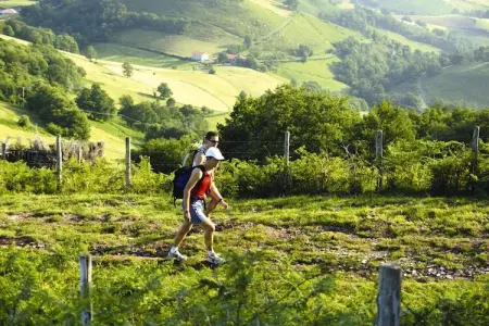 Residence Le Clos d'Eguisheim Eguisheim  25 Standard Apt 4 p - 1 bedroom - Photo 23