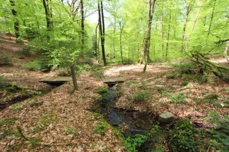 holiday home Reipertswiller, Maison 10 personnes à Reipertswiller - Photo 20