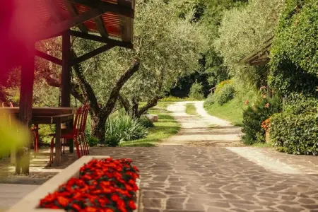 Apartment Limone Residence Nautic Resort San Carlo Gargnano-Quadrilo 110qm - Photo 17