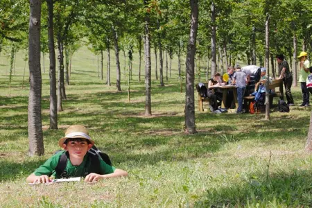 Holiday resort Contea dei Ciliegi Pedaso Typ trilo-trilo - Photo 32