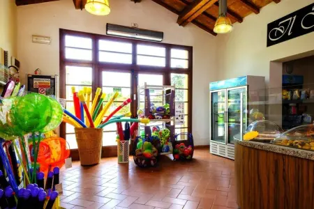 Ferienanlage Poggio all' Agnello Piombino Type Mono 2 con terrazza o balcone - Photo 31