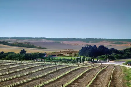 Ferienanlage Borgo della Meliana Gambassi Terme Typ Villa S Adele - Photo 18