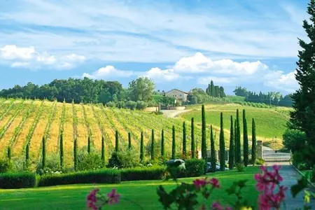 Ferienanlage Borgo della Meliana Gambassi Terme Typ Villa S Adele - Photo 19