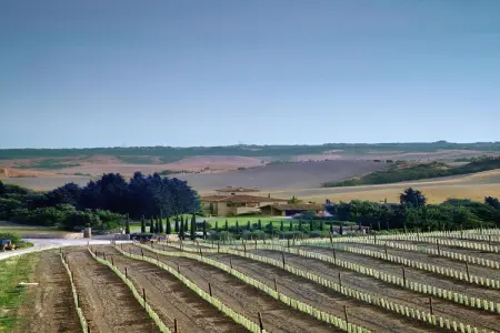 Ferienanlage Borgo della Meliana Gambassi Terme Typ Villa S Adele - Photo 26