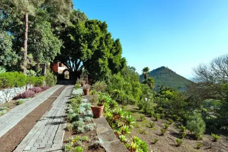 Mansión Bandama Santa Brígida 1-6 pax, Maison 6 personnes à Santa Brígida - Photo 29