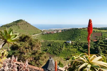 Mansión Bandama Santa Brígida 1-6 pax, Maison 6 personnes à Santa Brígida - Photo 31