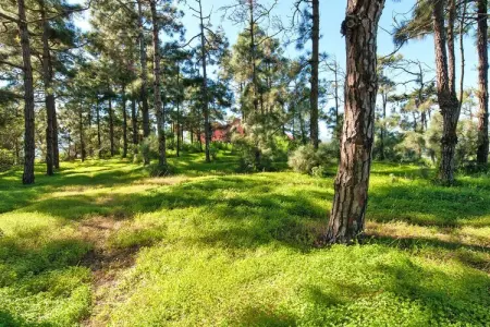 Mansión Bandama Santa Brígida 1-6 pax, Maison 6 personnes à Santa Brígida - Photo 32