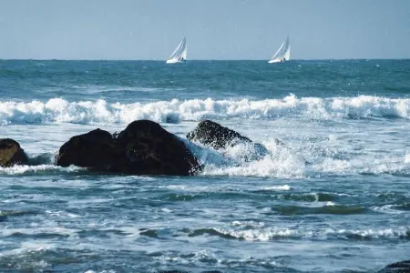 Residence Les Villas d'Olonne Les Sables d'Olonne   Maison 6 Standard 3 chambes - duplex - piscine individuelle - Photo 26