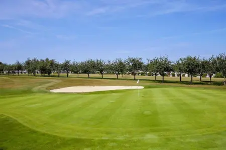 Residence Le Green Beach Port-en-Bessin-Huppain - M5 Standard House 5 p - 1 bedroom - Photo 9