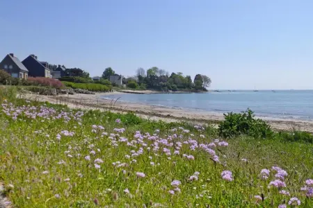 Semi-detached house Brucheville, Maison 6 personnes à Brucheville - Photo 29