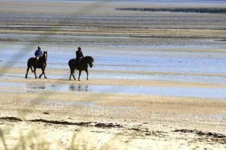 Semi-detached house Brucheville, Maison 6 personnes à Brucheville - Photo 30