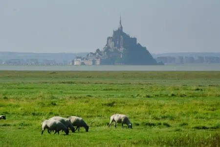 Semi-detached house Brucheville, Maison 6 personnes à Brucheville - Photo 33