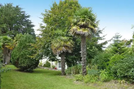 holiday home Denneville, Maison 4 personnes à Denneville - Photo 15