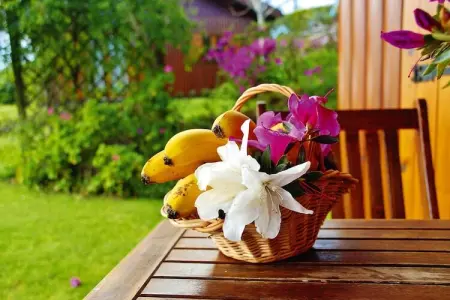 Holiday homes Quinta dos Curubás Vila Franca do Campo // Bungalow T1 - Photo 1