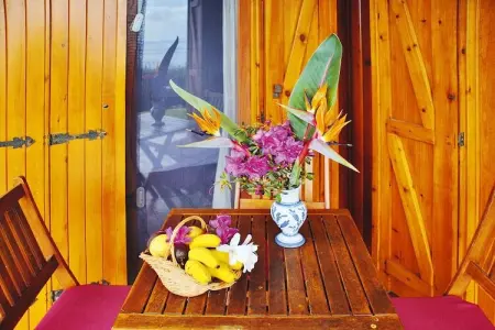 Holiday homes Quinta dos Curubás Vila Franca do Campo // Bungalow T1 - Photo 3