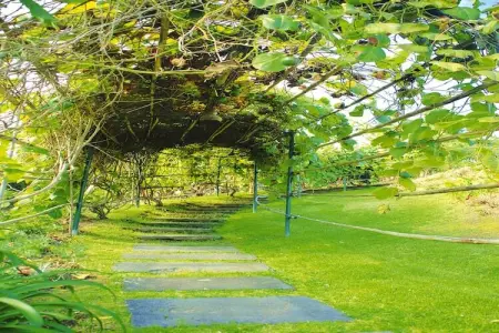 Holiday homes Quinta dos Curubás Vila Franca do Campo // Bungalow T1 - Photo 33