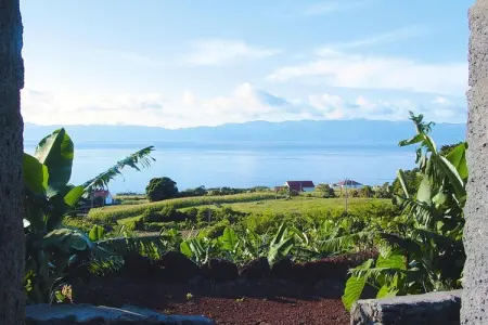 Ferienhäuser Adegas do Pico in Prainha // Adega T2 70-90m2 / sea - Photo 26