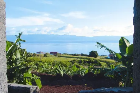 Ferienhäuser Adegas do Pico in Prainha // Adega T2 70-90m2 / sea - Photo 27