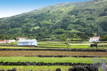 Ferienhäuser Adegas do Pico in Prainha // Adega T2 70-90m2 / sea - Photo 28