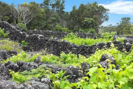 Holiday home Praínha de Baixo // Casa dos Rodeiros - Photo 20