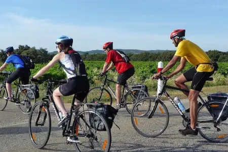 Ferienhaus in Roaix, Maison 6 personnes à Roaix - Photo 23
